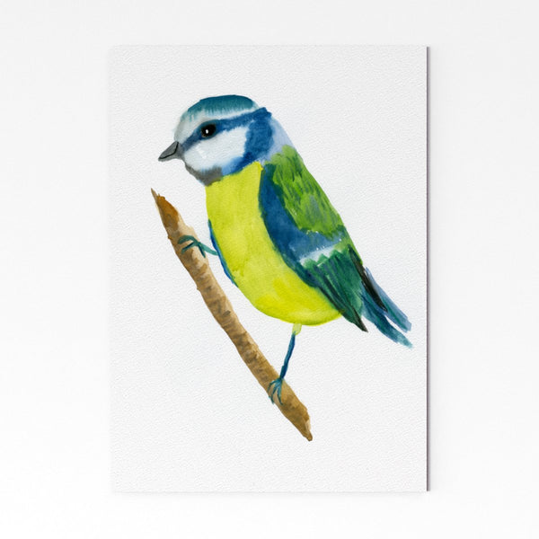 Blue Tit Art Print watercolour