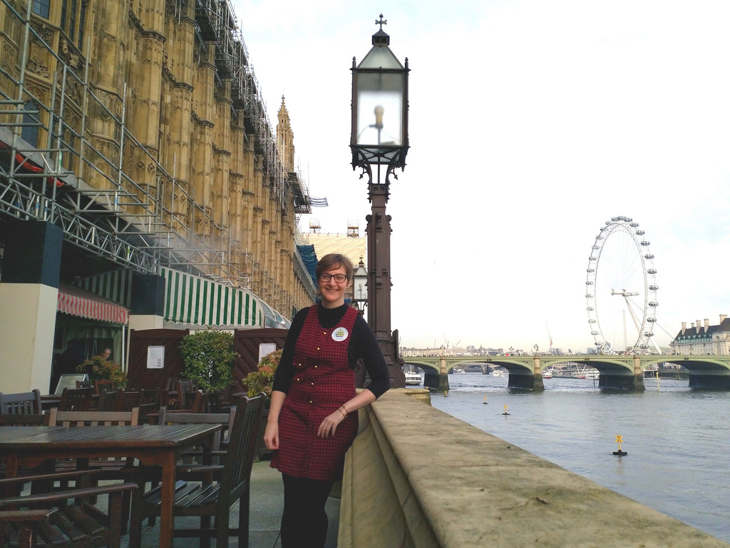 Nicola invited to the House of Lords to celebrate small business success