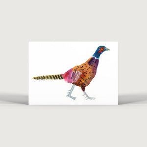 Pheasant 2 Print